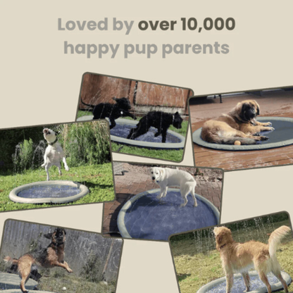 Galaxy Shop™ Sprinkler Pad